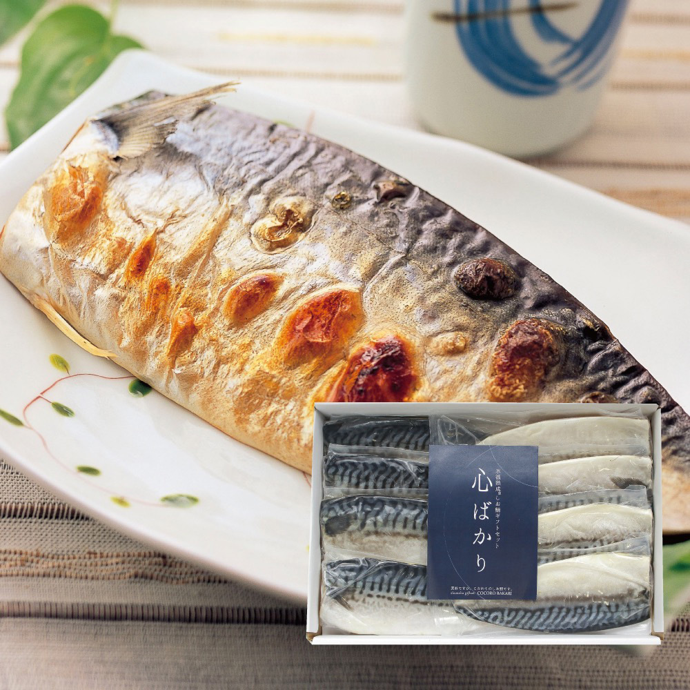 JU米子高島屋（鳥取県）<br>【冷凍便】山陰大松 氷温熟成しお鯖ギフトセット心ばかり